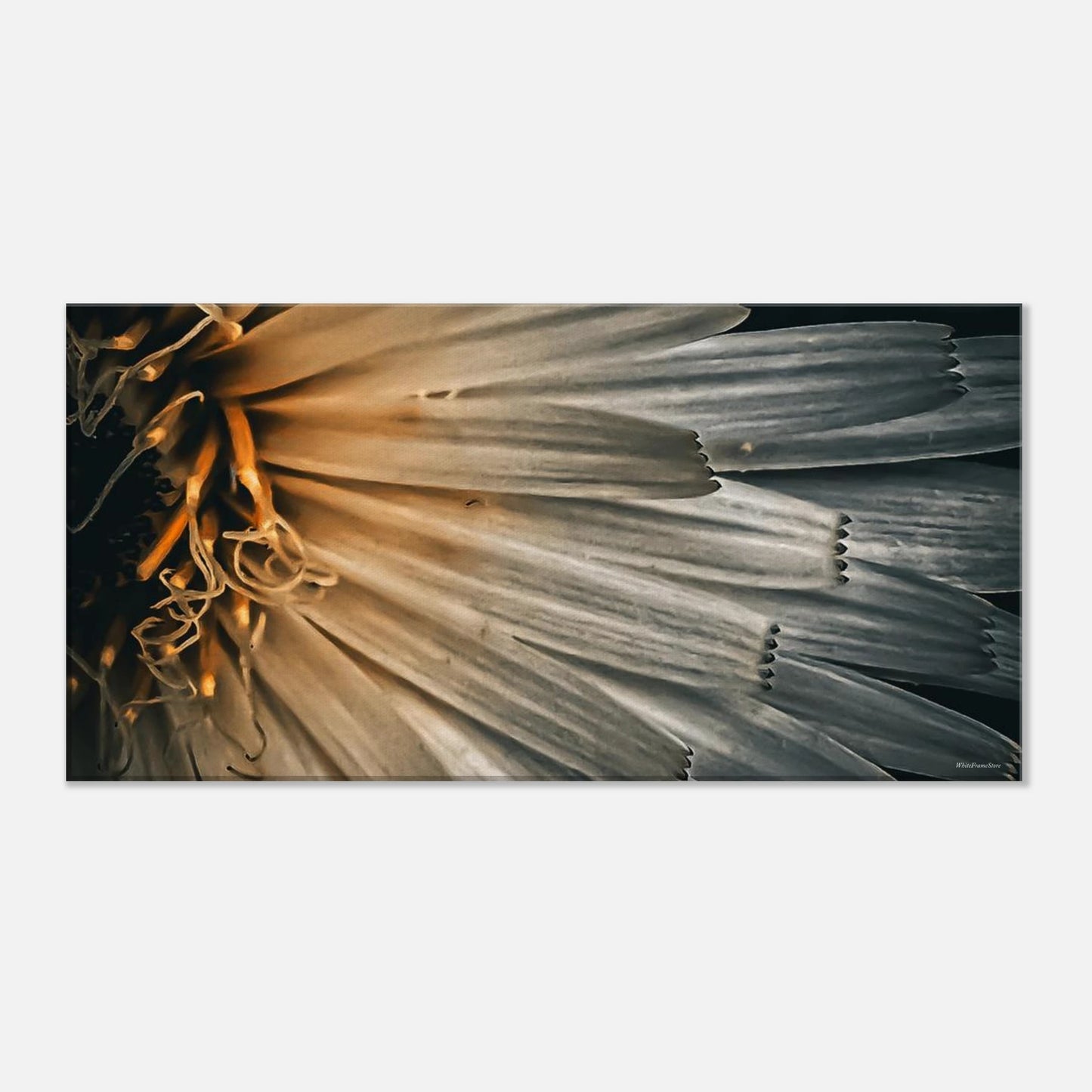 aeca9421-3af2-4297-85ac-862ca3d8f157