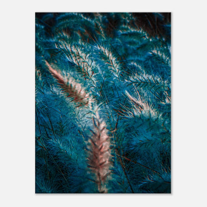 aee972b8-05ab-4acd-b56a-2972dc42ea52