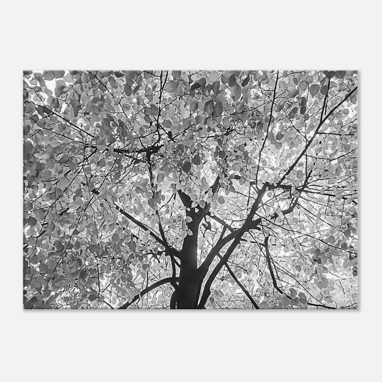 af121885-60b4-4a89-a7d2-1b263374fd4c