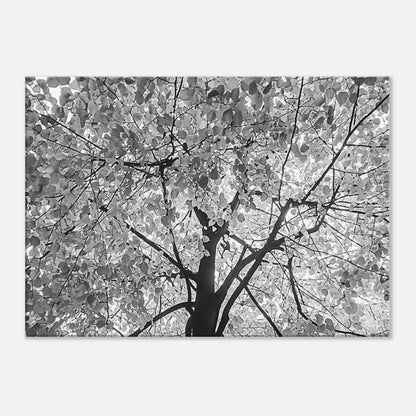 af121885-60b4-4a89-a7d2-1b263374fd4c