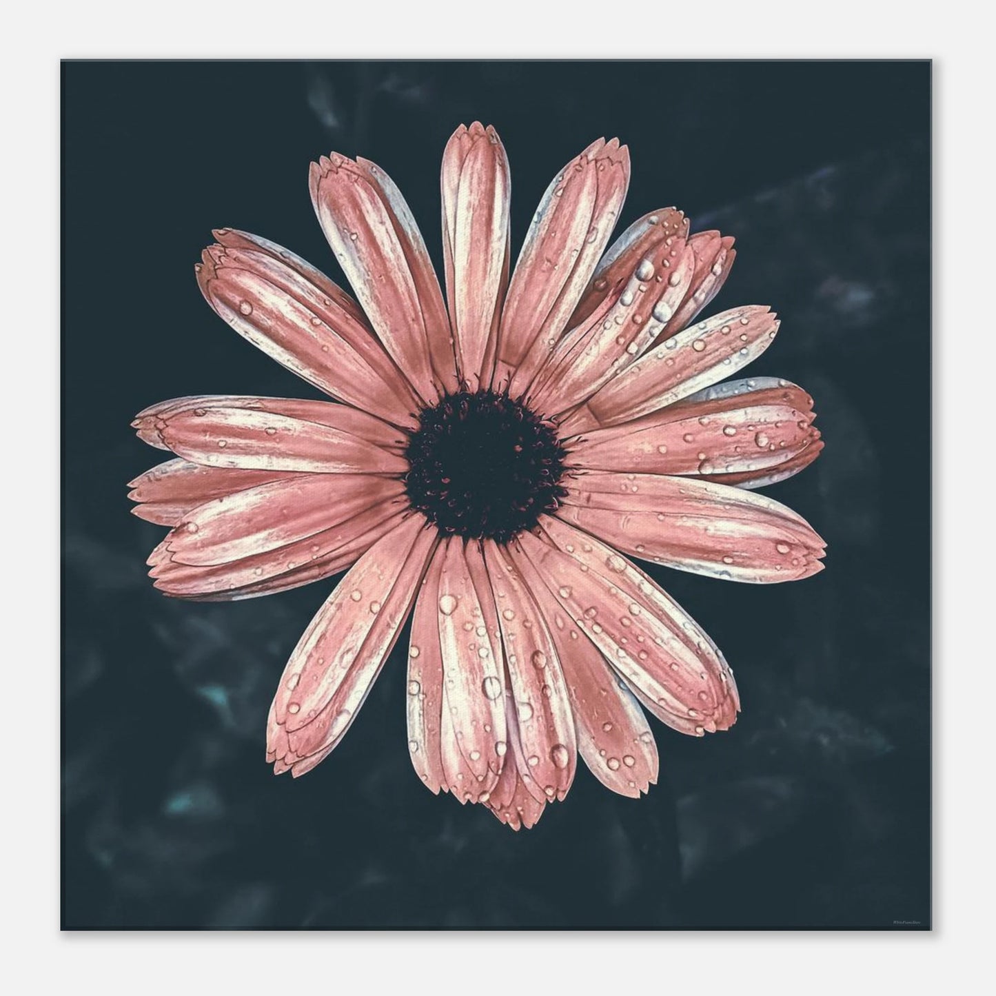 af140faa-34c3-48f0-9d78-ddb2c379440f