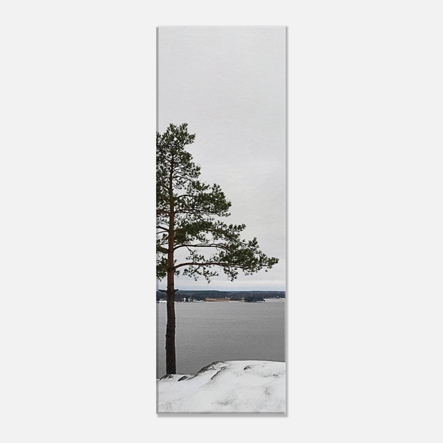 af35a806-ff96-44e0-b9ed-e0bfad960dc1