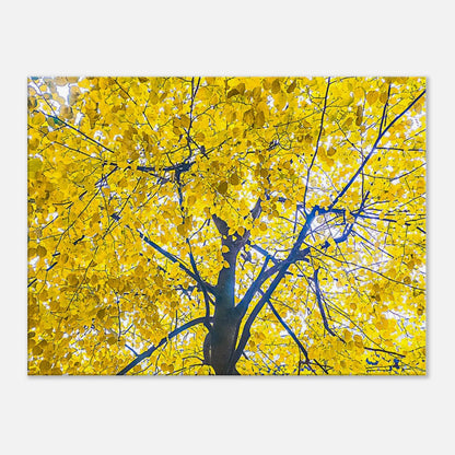 af4c60f8-dee3-46f0-a5f7-68eecb5a2988