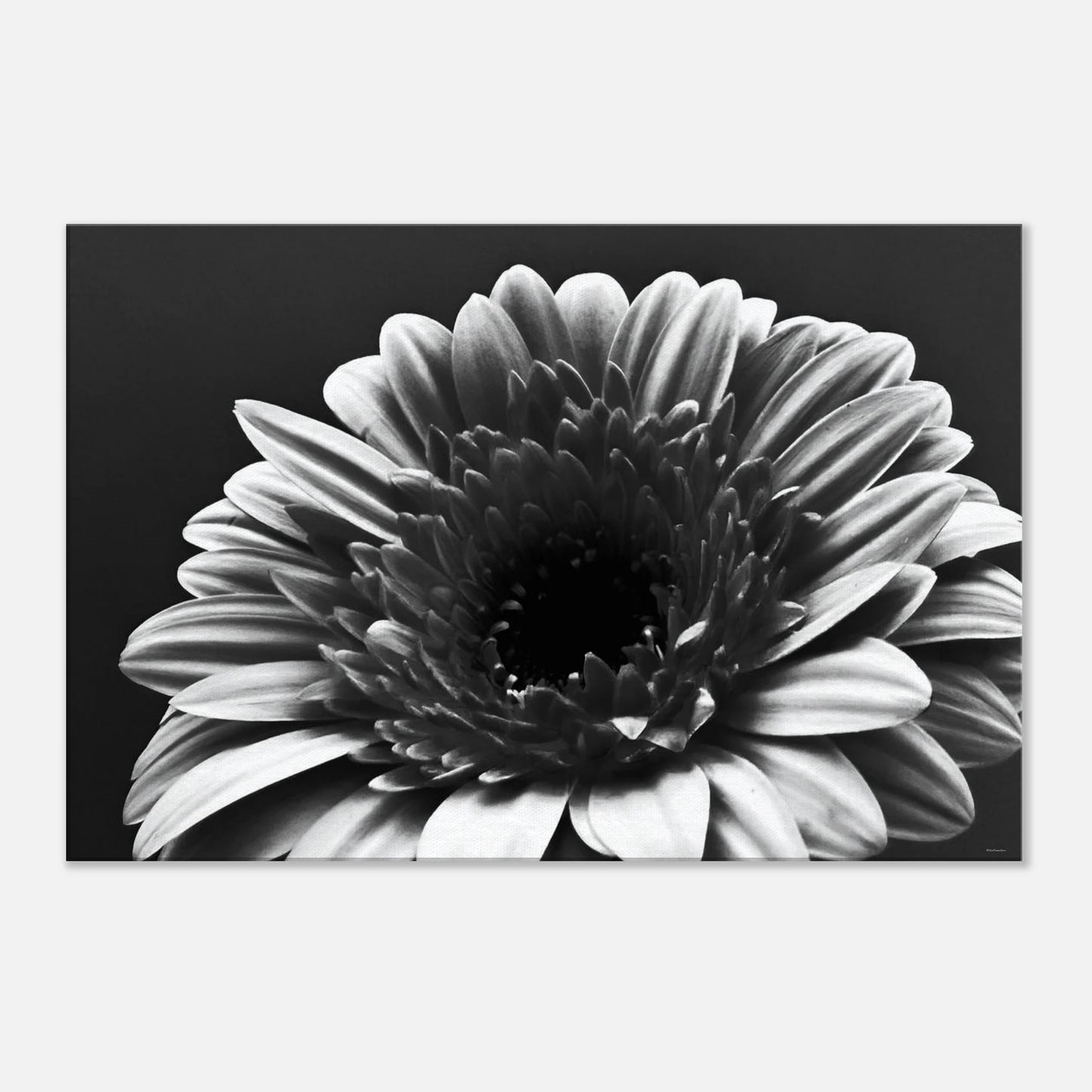 af4d73b4-d59a-48c1-bbbe-7a8257f78226