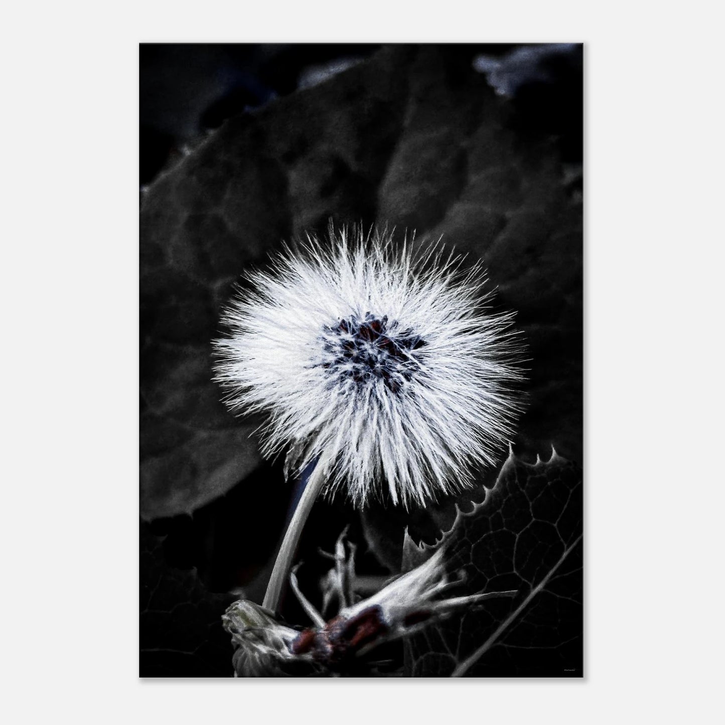 af886fa8-9aea-47d2-8231-262e5182050a