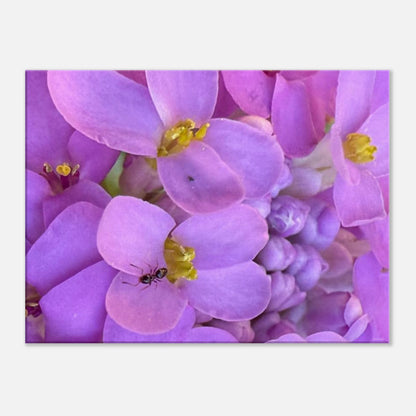 afd33883-d172-4d01-91b3-fff415a7e8a6