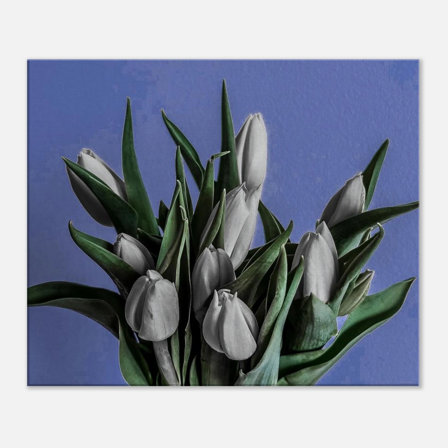 afeb5f44-295b-4af9-9089-ce71e7fdb7c5