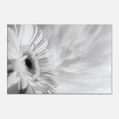 b00651bb-5d65-47a7-96f2-de0f931a6d16