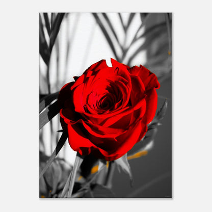 b01ec90b-76e0-49cf-aac4-ef93d2322cd8