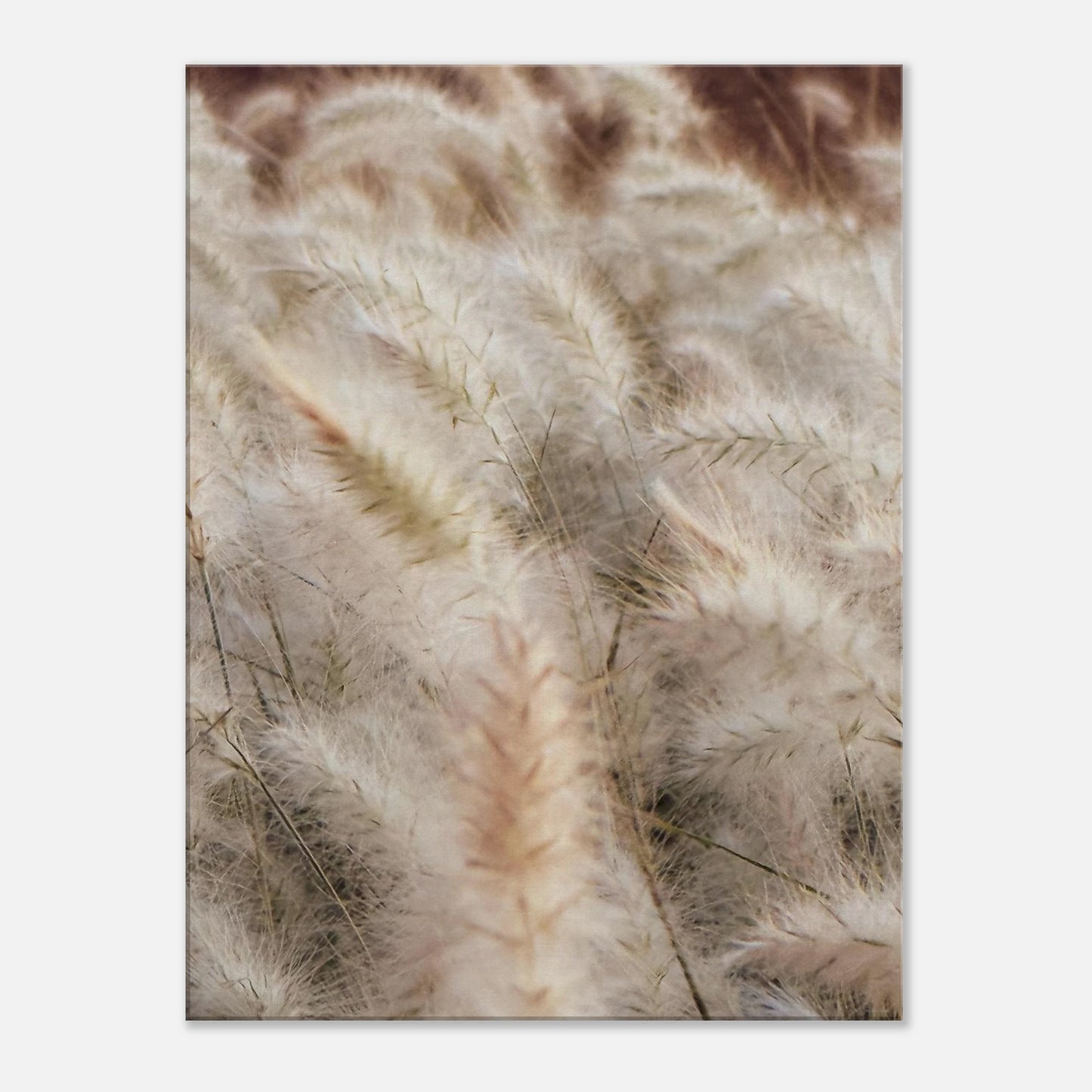 b02a6797-c657-4386-b5fe-5b663ac8d855