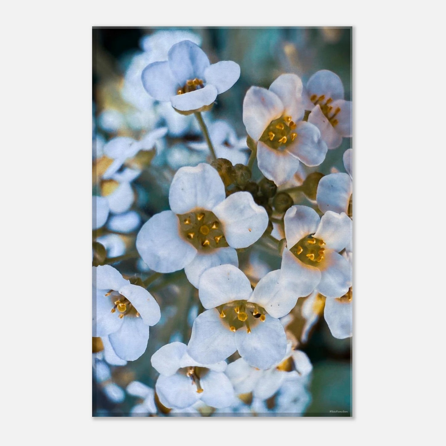 b034aefd-3041-4d5b-b643-474c338b9286