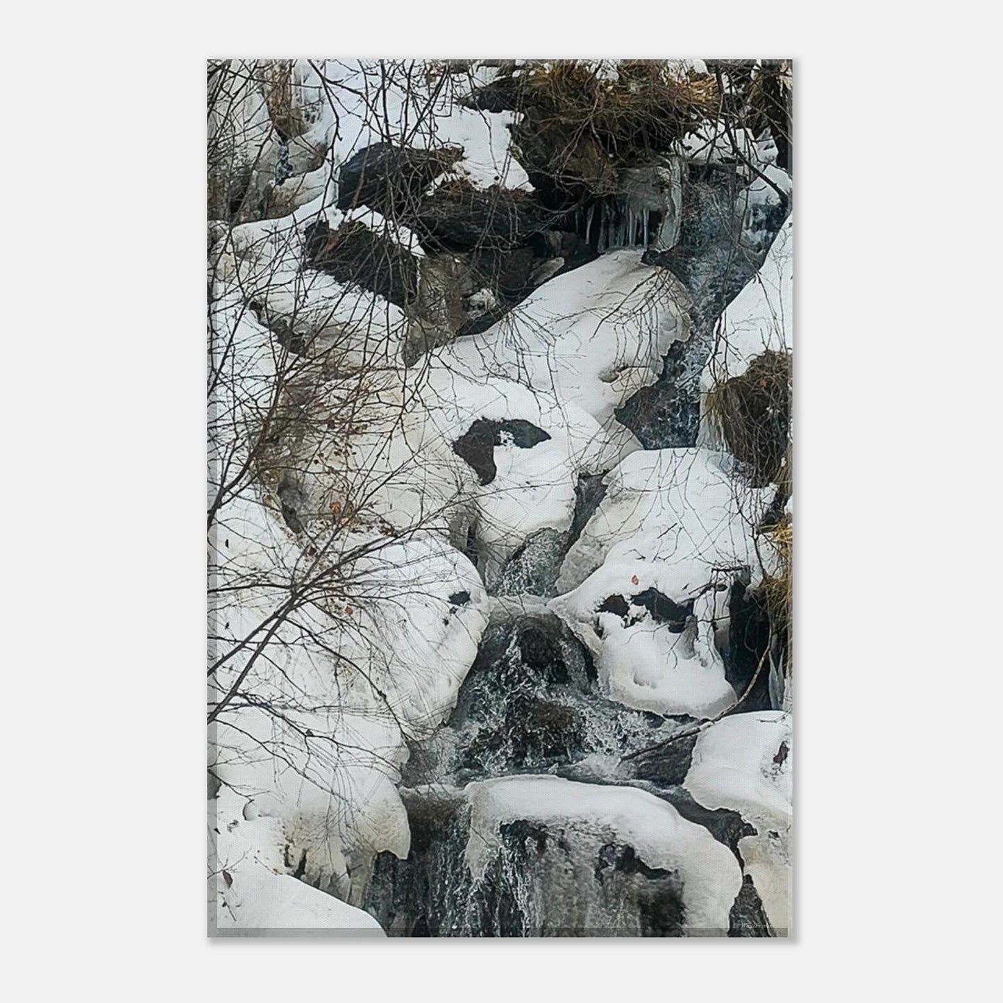 b038548d-a1c0-4278-be79-a2364f157fd8