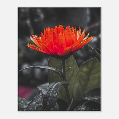 b0502a7f-3d74-4bf0-b62c-ce20ec79ec6f