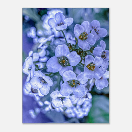 b0c036a8-9b63-4091-a750-40d36f26a9c6