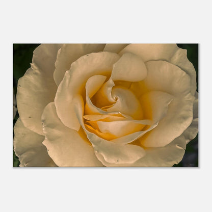 b0c91672-7e78-4996-b5d6-4987dbc2532f