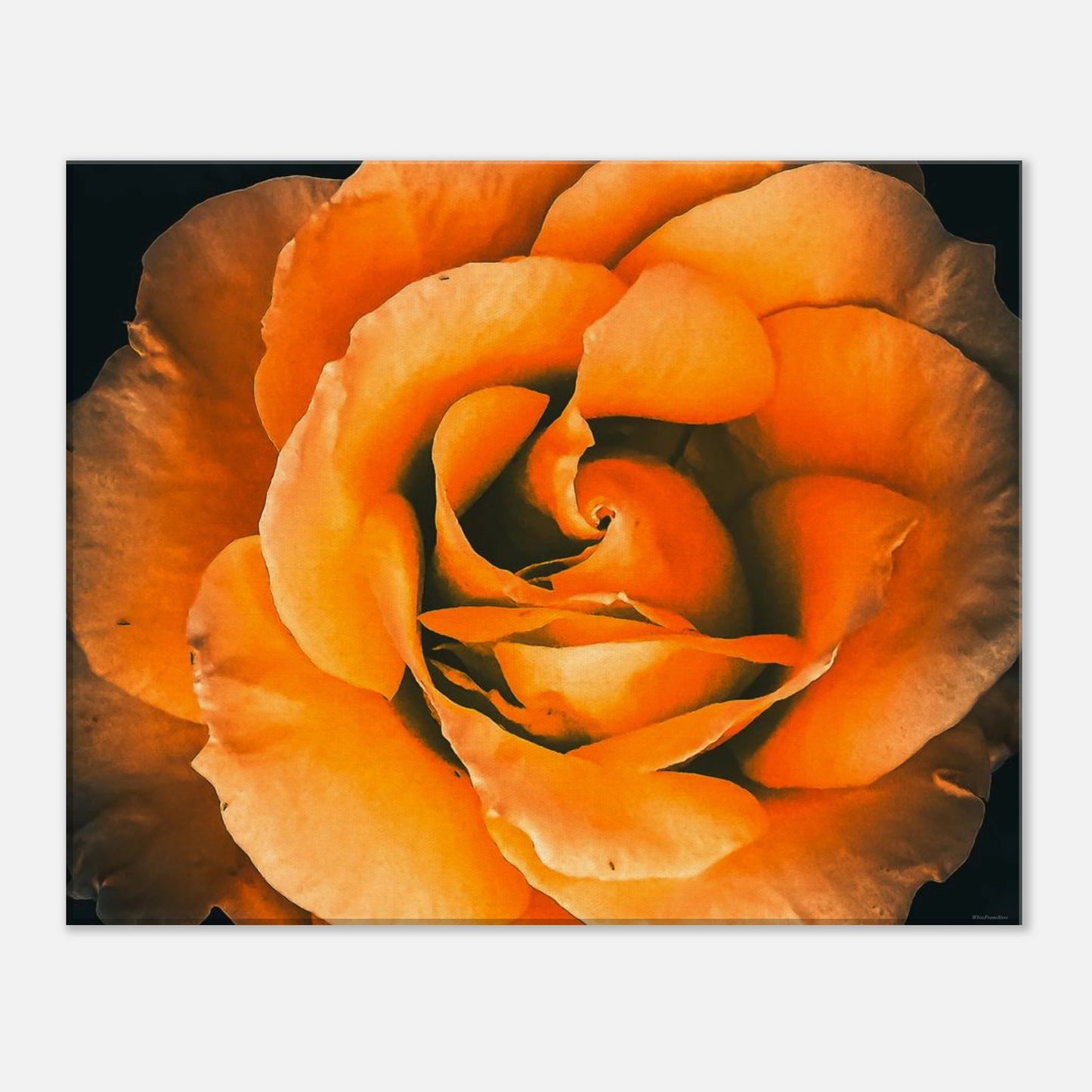 b0db8a6c-6d81-4203-b489-7e745943f86e