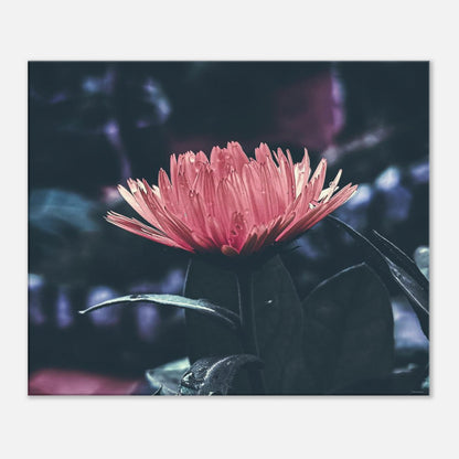 b1018f55-5d33-4945-a6aa-228a28706ae9