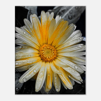 b103dfa9-656d-4026-aec8-65513251e9a6