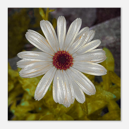 b107f4cd-3143-4a41-a9ec-161088dd544c