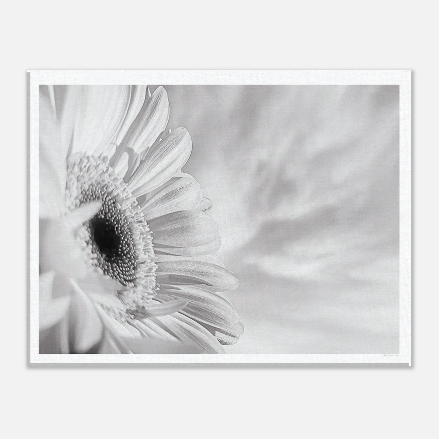 b10d22d4-04d4-47d9-b5f8-a50a5ab63cb5