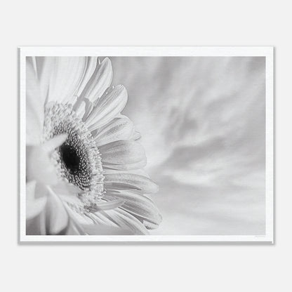 b10d22d4-04d4-47d9-b5f8-a50a5ab63cb5