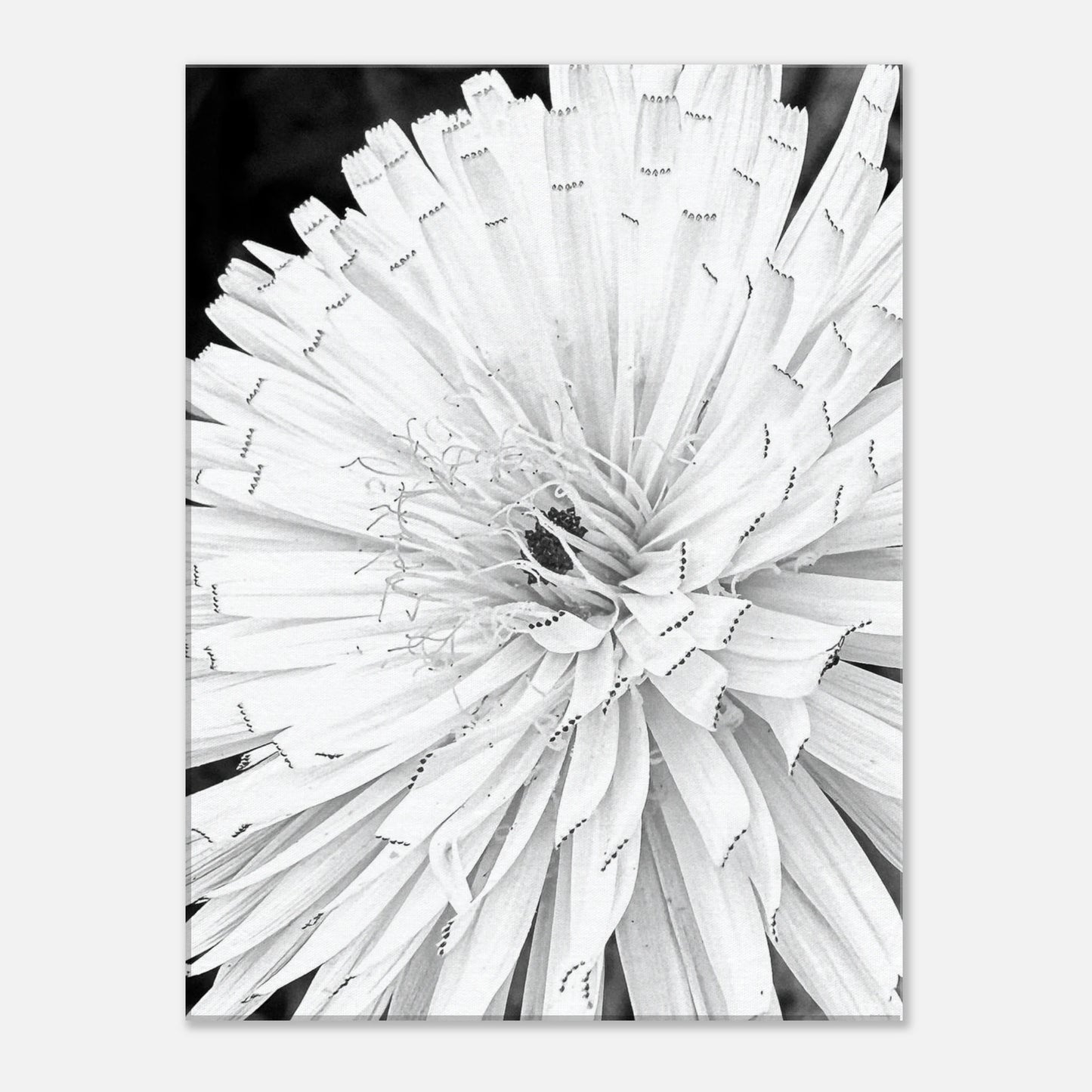 b12ccc15-0ea2-44cb-89c2-e03aca5b7cdd