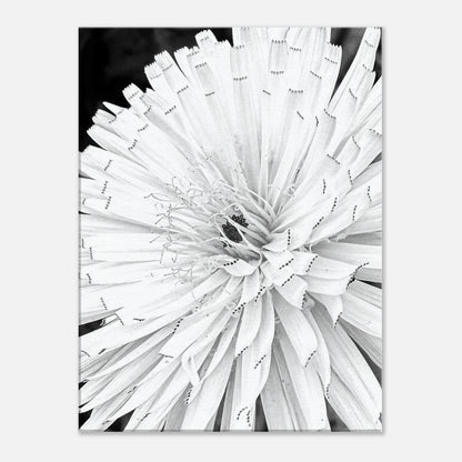 b12ccc15-0ea2-44cb-89c2-e03aca5b7cdd