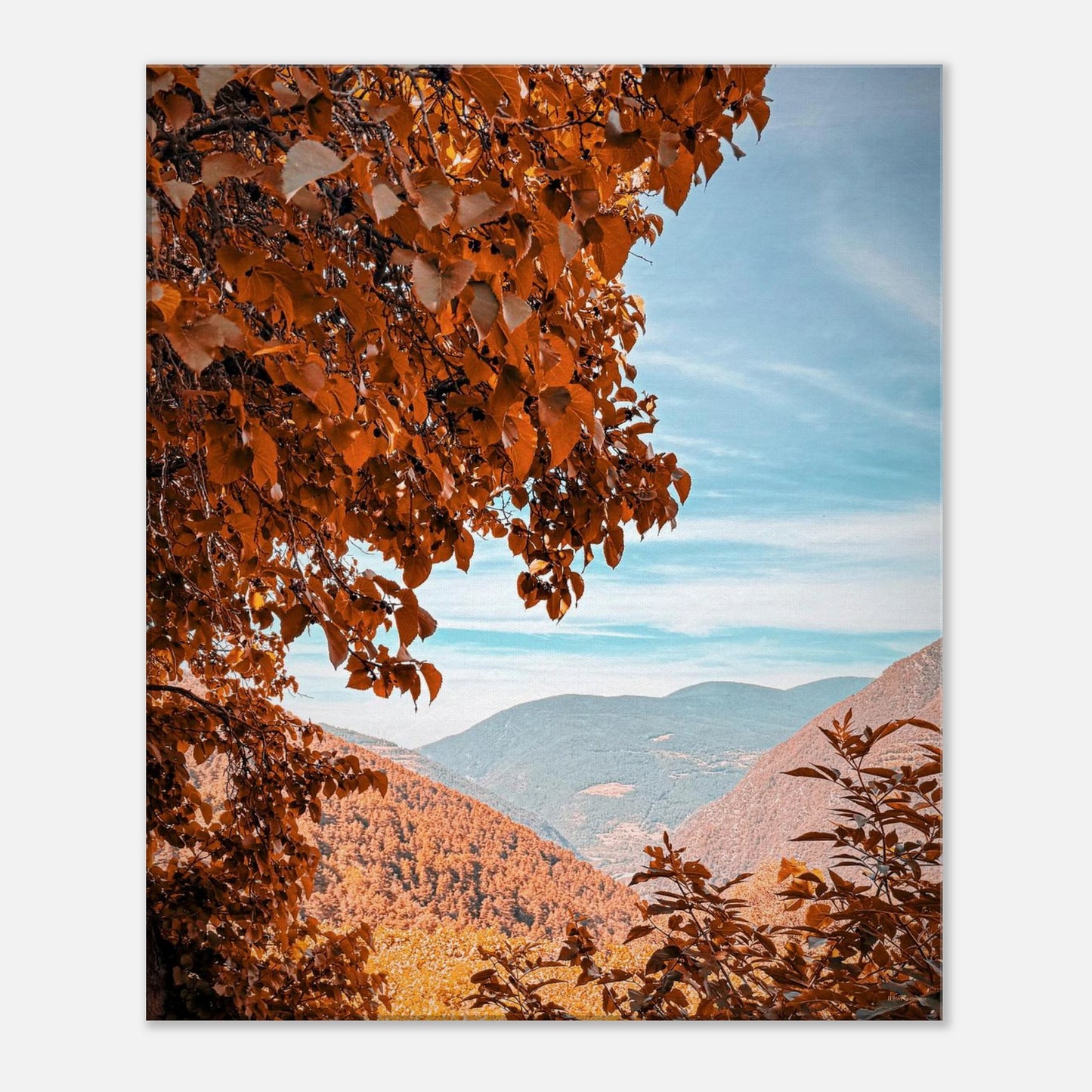 b13576d7-f7f5-464f-a190-e63454c8ae83