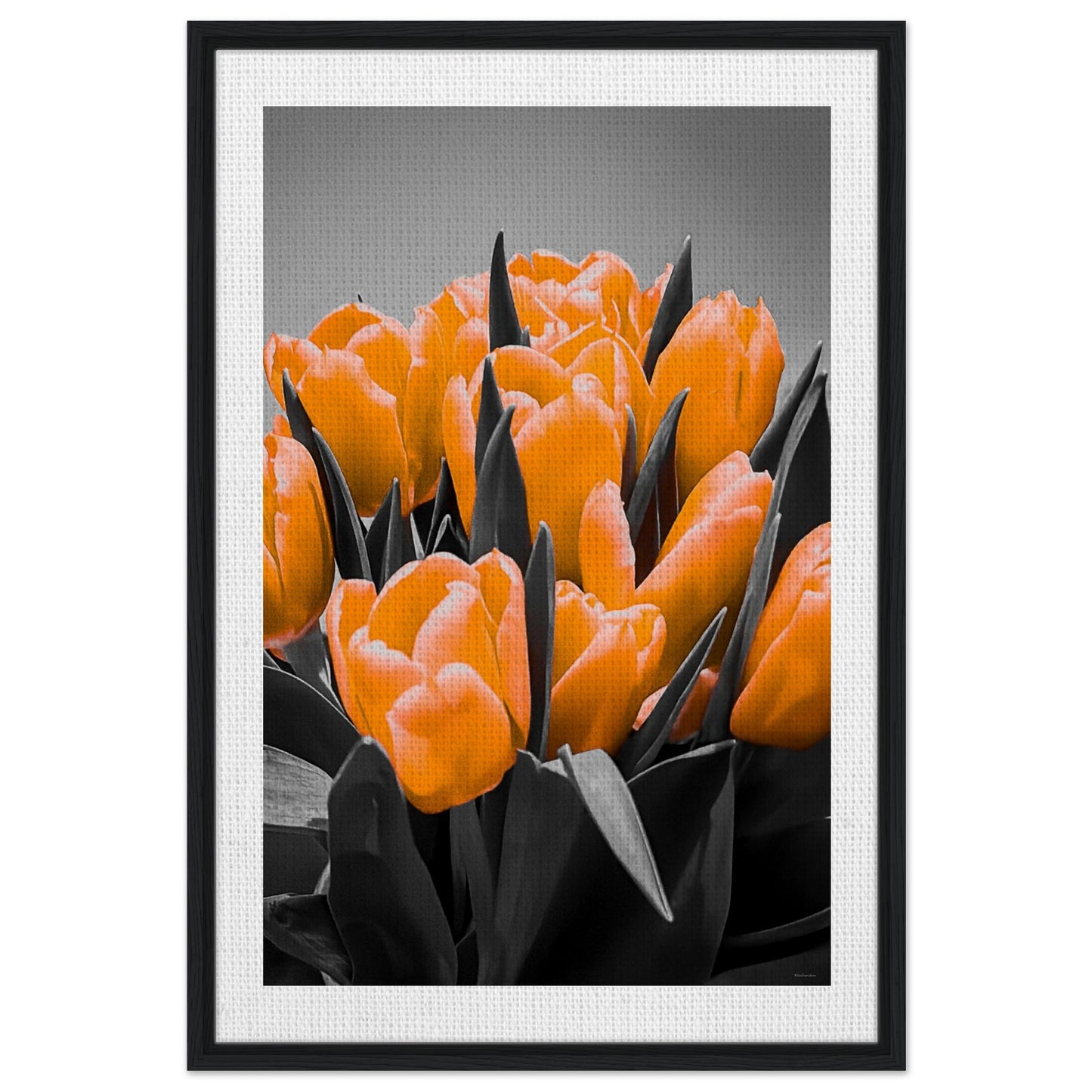 b13a7daa-e904-45ec-ba07-b8ee4bf3503f