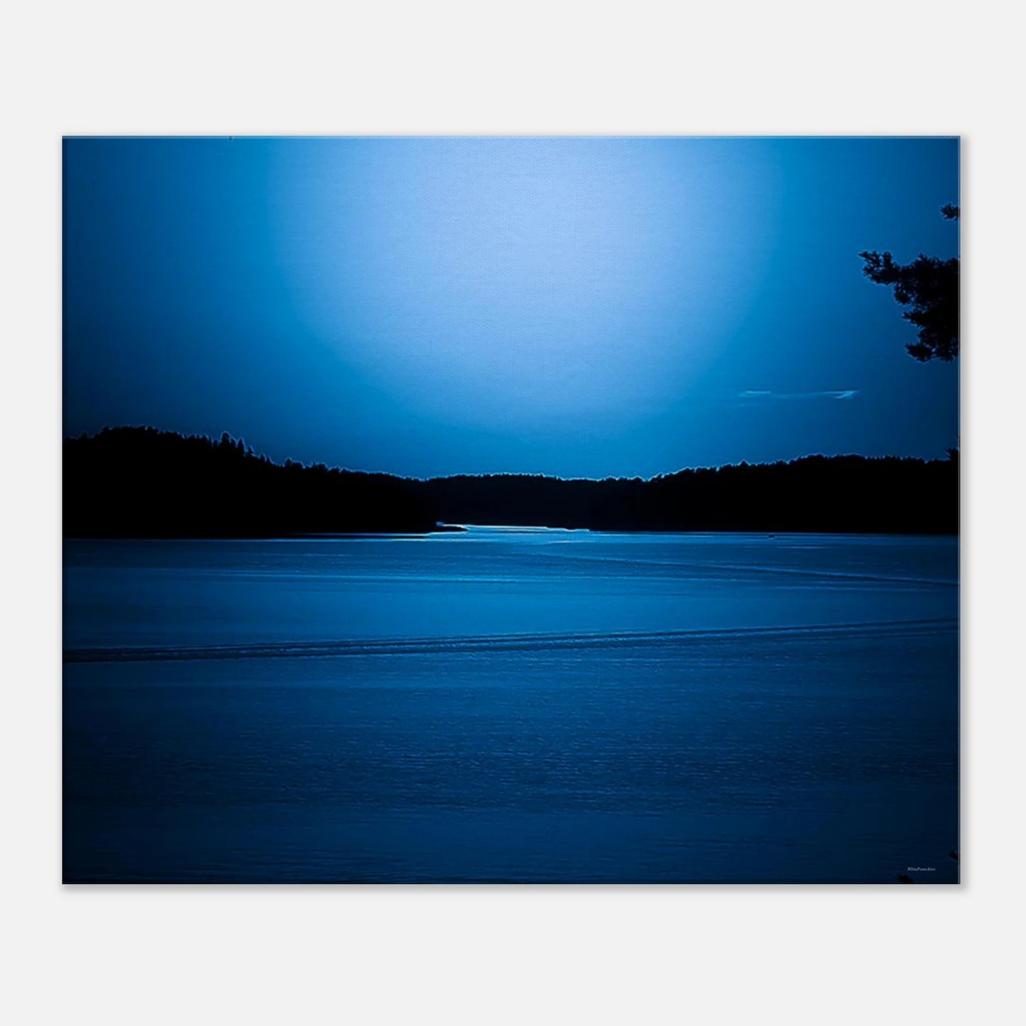 b1460ffe-f6c9-4dd8-8fc8-53f56c643845