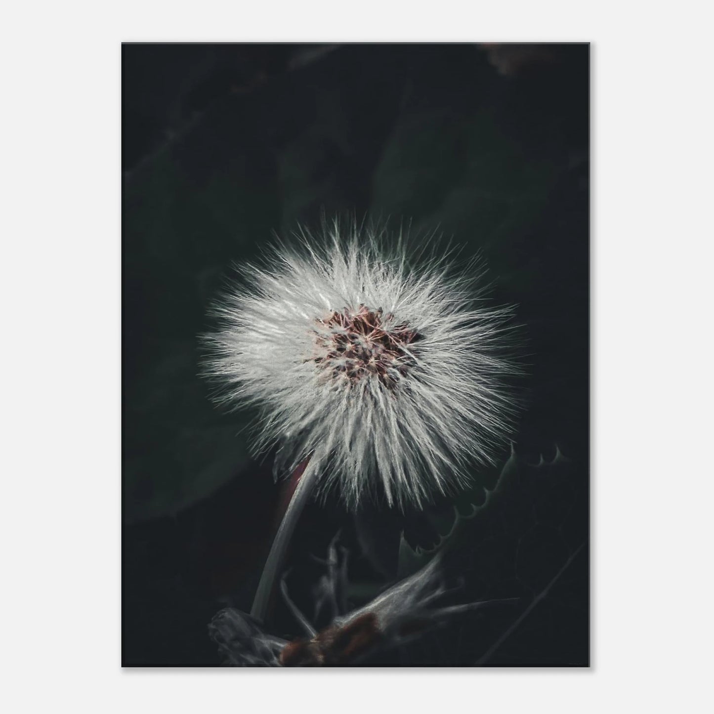 b155e43d-5249-4b54-914f-7c80665f319f