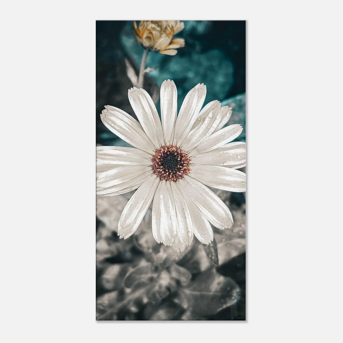 b16e65ea-13fa-49f1-a4ad-bc62da89620c