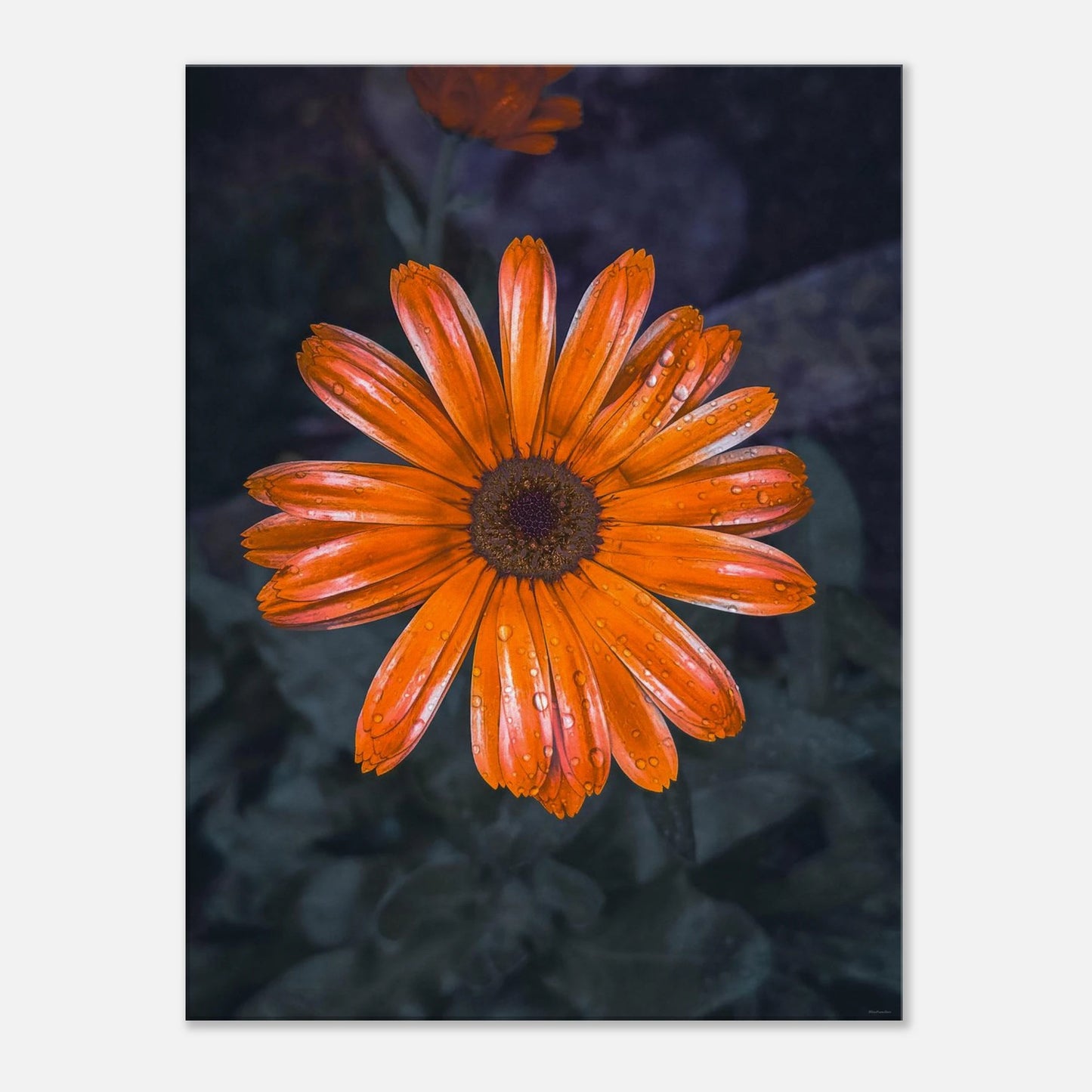 b1bd5d7f-6ec9-44c4-a62b-7360e60f80cc