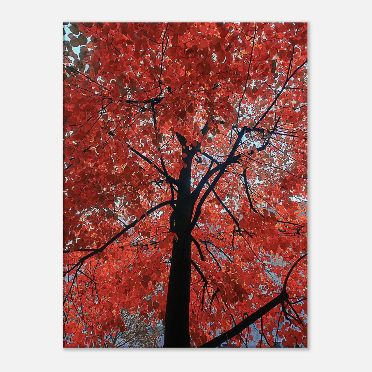 b1c49cd6-3236-40b9-ac08-454d0718017a