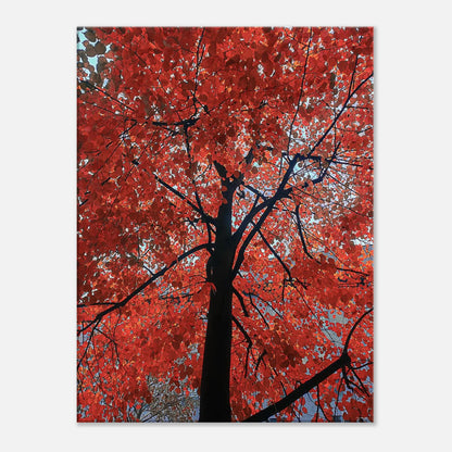 b1c49cd6-3236-40b9-ac08-454d0718017a