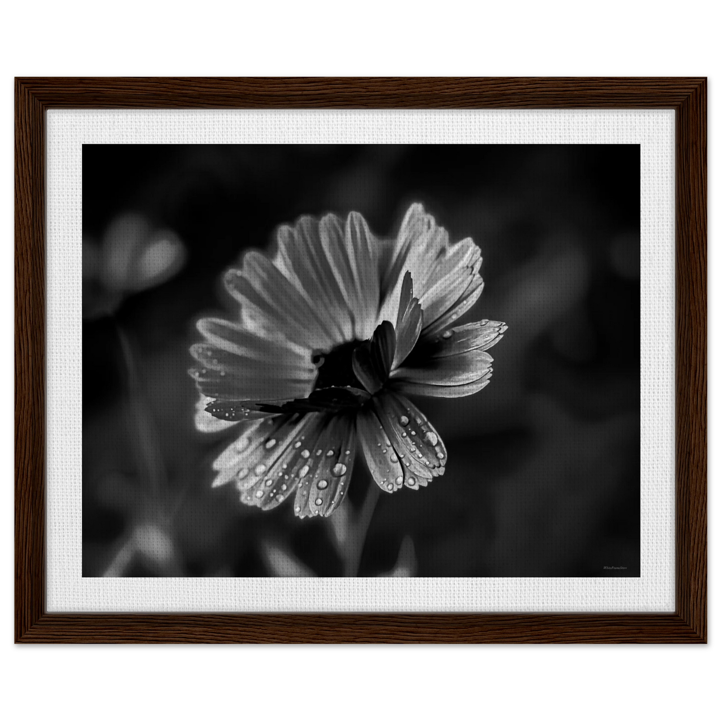 b1c7154d-c502-4ad1-a769-3ee329abbb3c