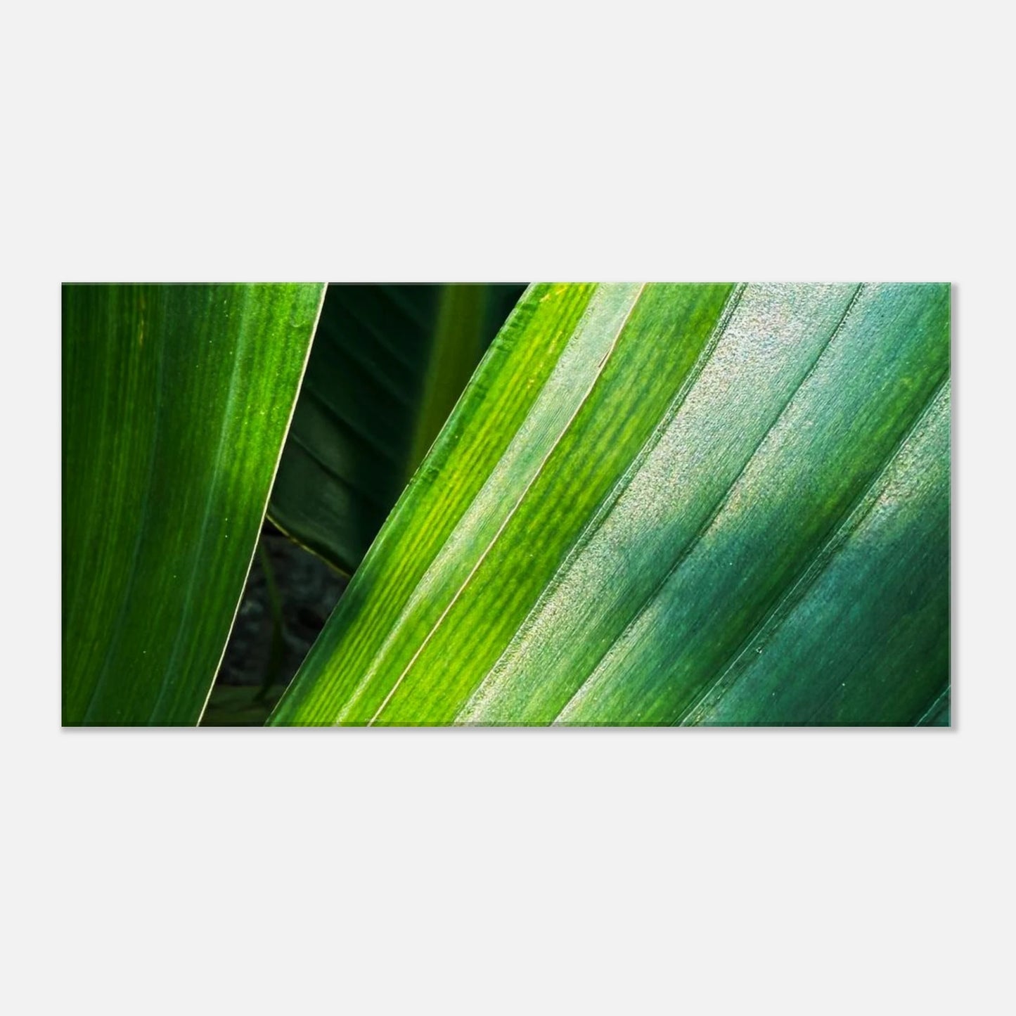 b1e237dd-18ee-455c-8b79-e62129a7334e