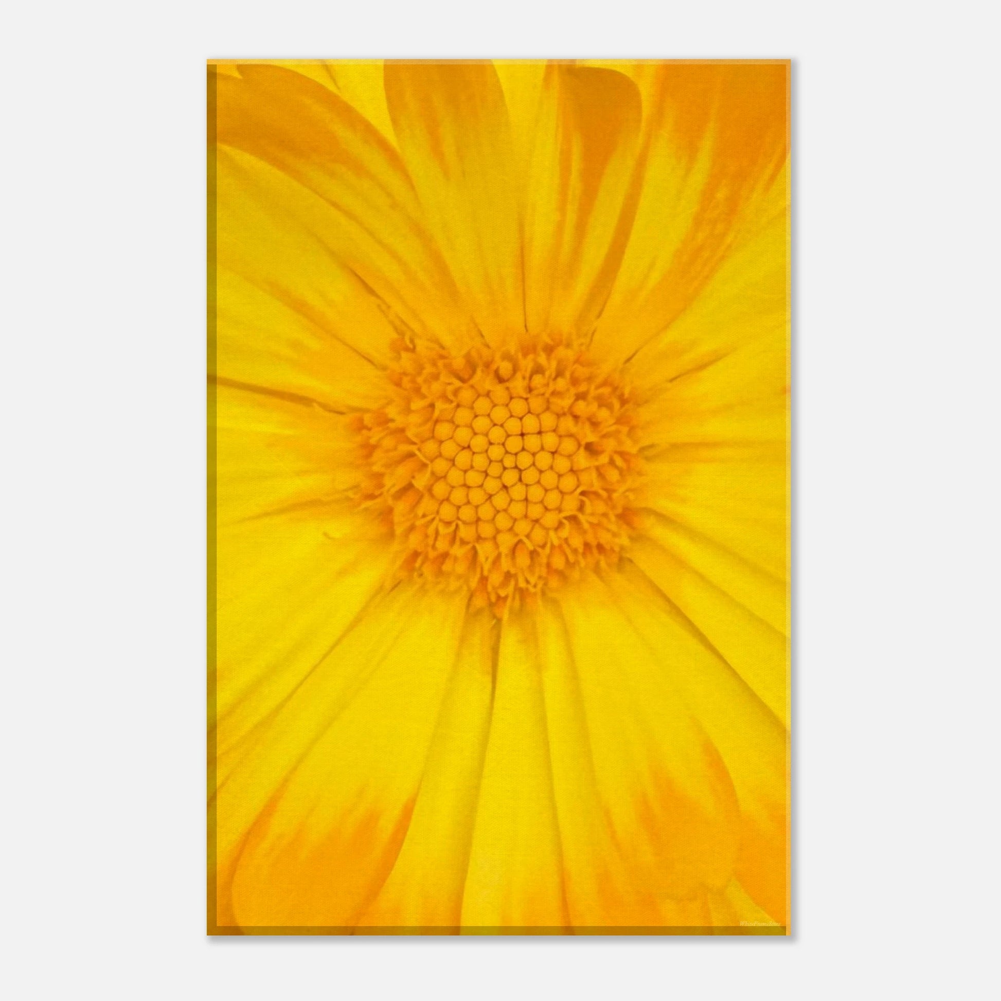 b1ff2810-4a63-4d08-8bdb-60f62dee57a5