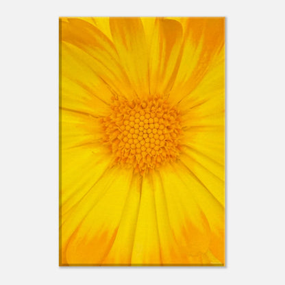 b1ff2810-4a63-4d08-8bdb-60f62dee57a5