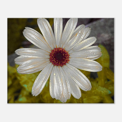 b2236094-31e7-455b-b6dd-160df9066444