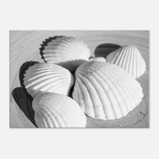 b270048d-61cf-4412-8be2-36dcff8d85ba