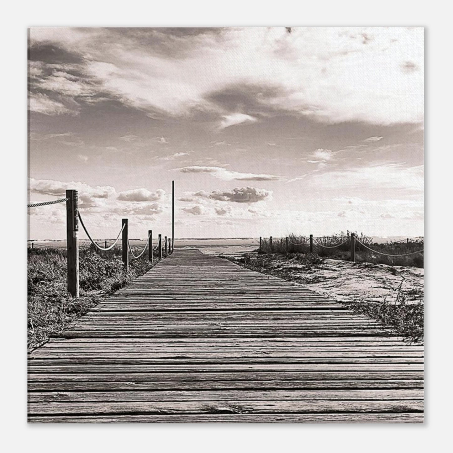 b27665ed-5208-47da-a2a0-ca9ca001690e