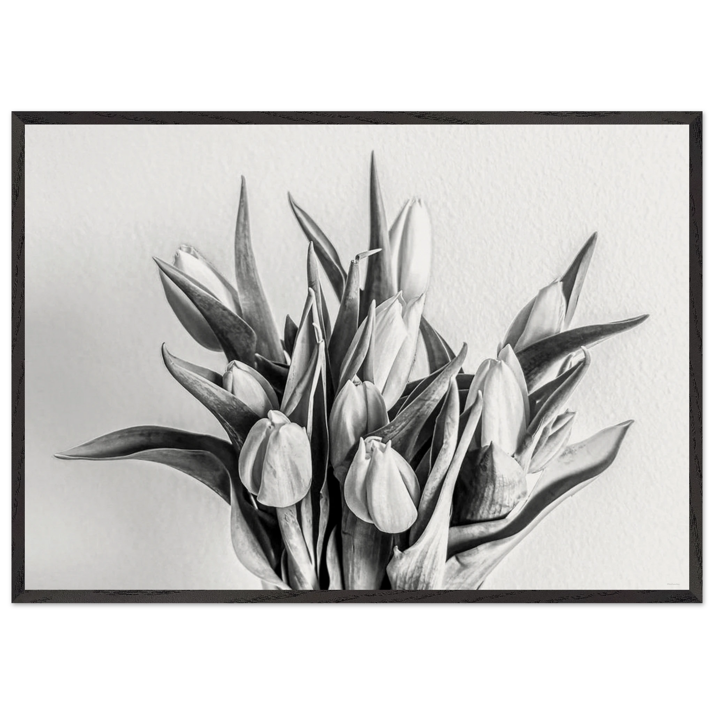 b2895883-04b1-4773-9738-c69db99e2920