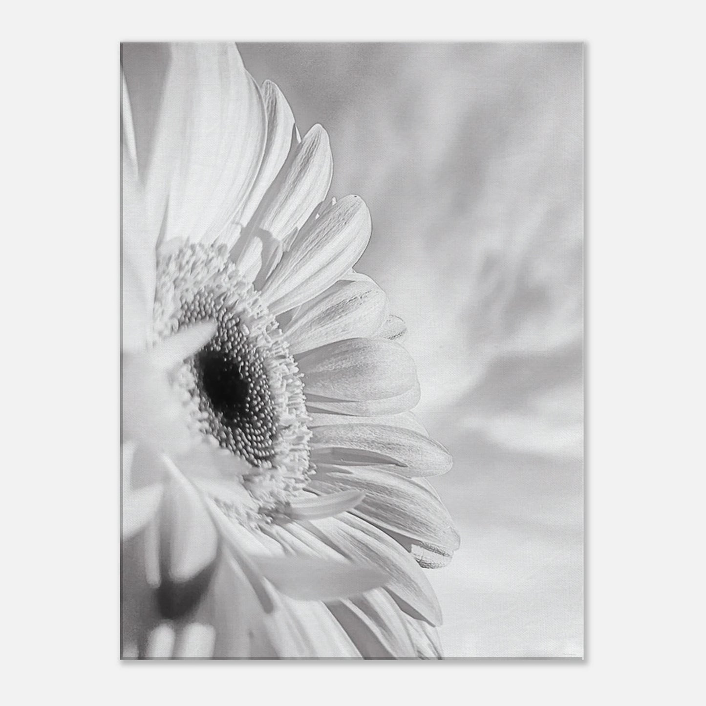 b2a7a7c8-51f8-4f66-8688-f1e8580979d6