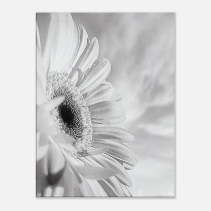 b2a7a7c8-51f8-4f66-8688-f1e8580979d6