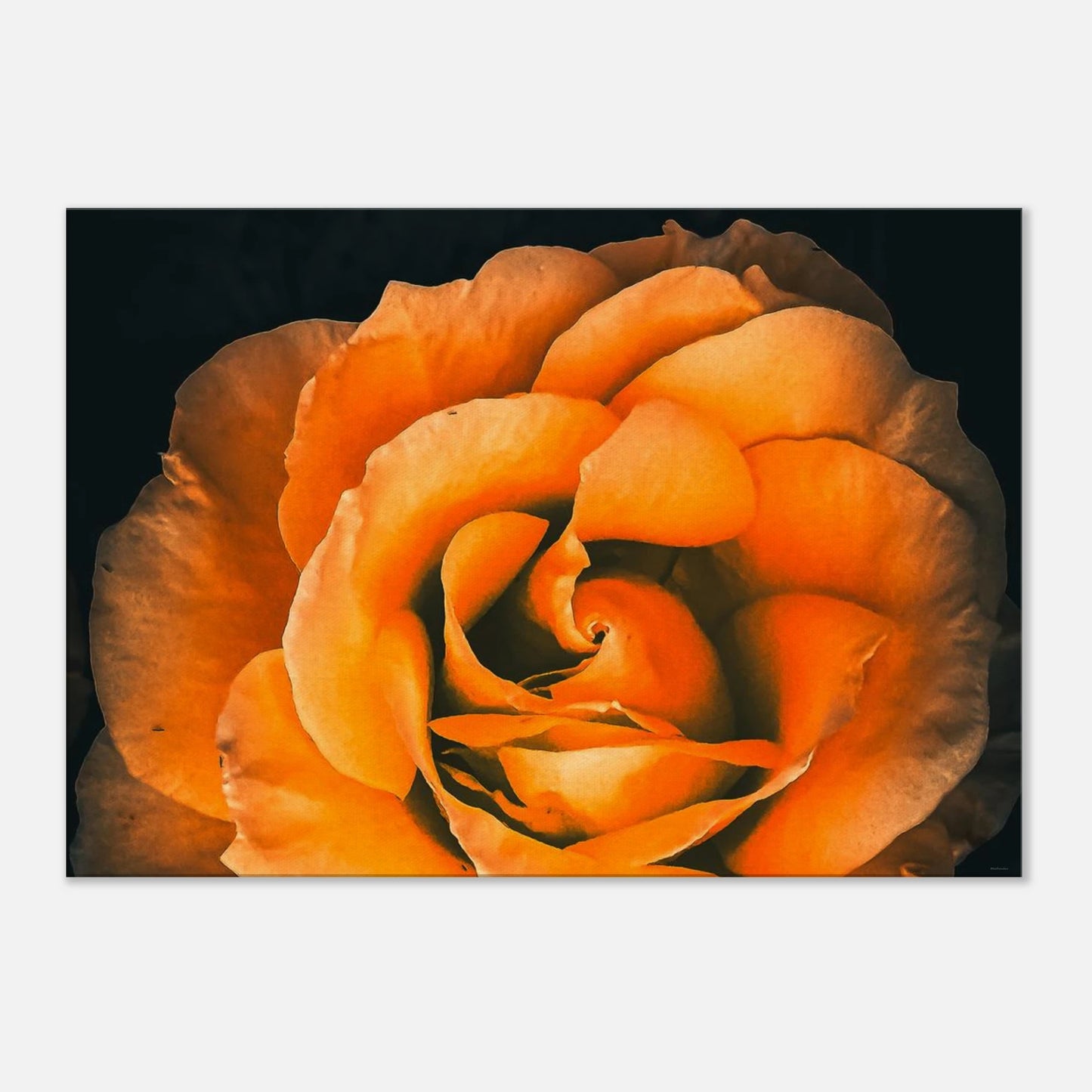 b2bf5a4a-38e6-43a9-bf1b-dfd09a780ecb