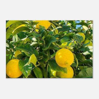 b2d2c962-3711-42bc-8fa0-3801e8003ce2