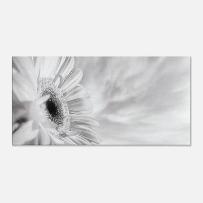 b2e437bb-b2d3-49e2-ace6-31595665be9a