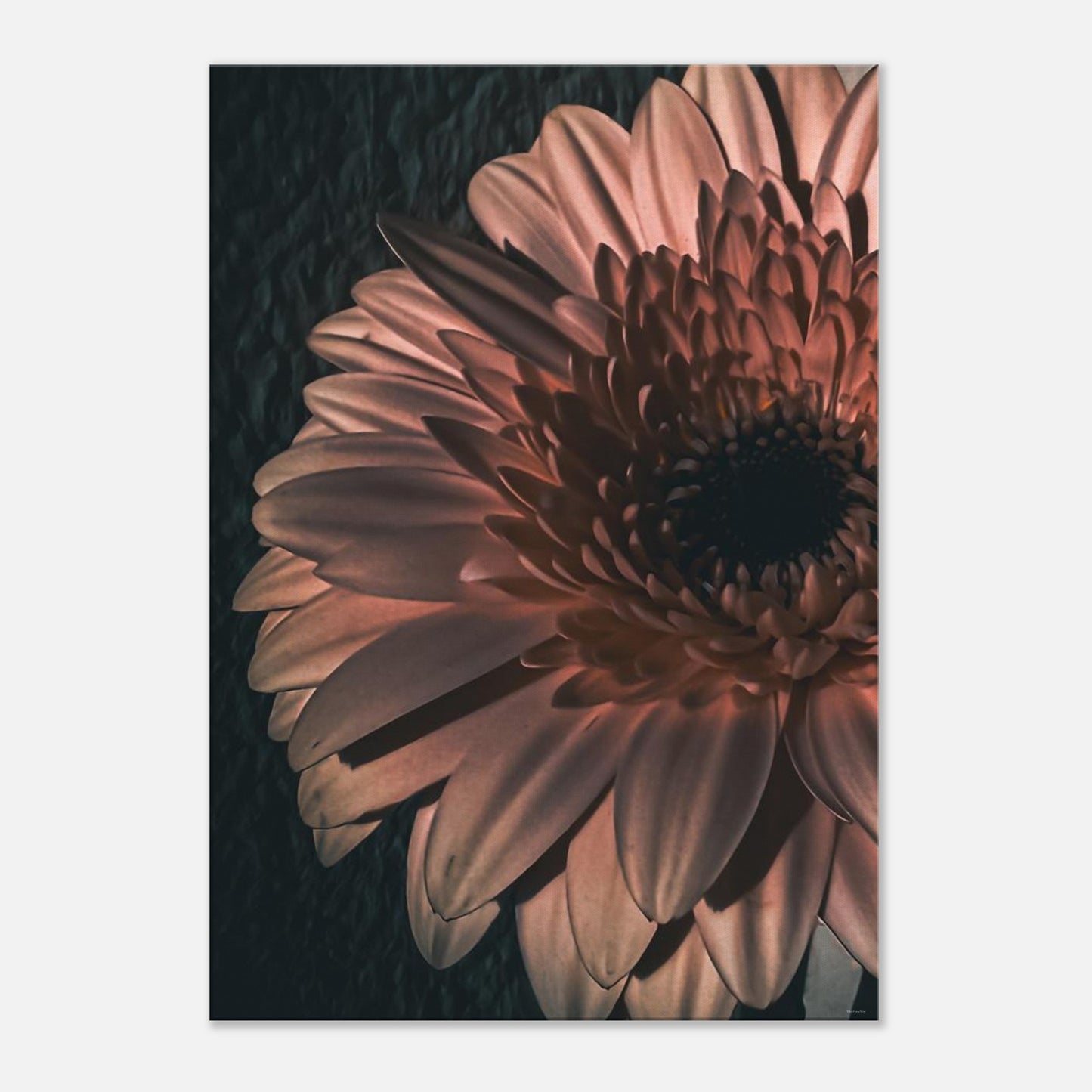 b2f00c77-426a-41e3-9c4e-6fd3ee01b82d