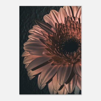 b2f00c77-426a-41e3-9c4e-6fd3ee01b82d